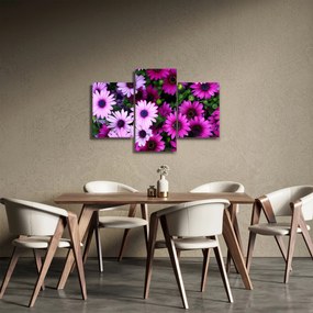 Kép - Virágok (90x60 cm)