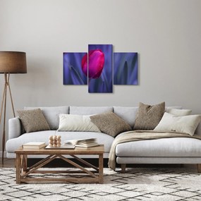 Tulipán bimbó képe (90x60 cm)