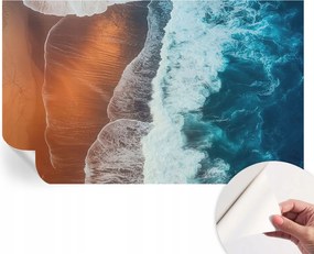 Dekoratív öntapadós fotótapéta az irodába Tengeri szimbiózis 416x254 cm