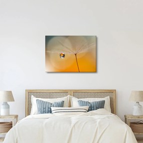 Kép - Makró virág (70x50 cm)