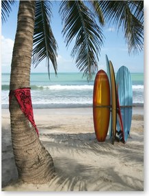 Tengerpart Pálma Szörf Poszter kép 30x40cm #118