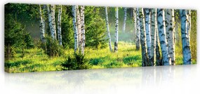 Vászonkép Erdő Természet Tájkép Vászonkép Hálószoba Nappali 145x45