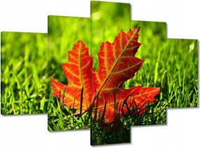 Képek 150x105 Őszi levél a fűben