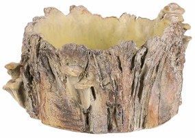 Beton burkolat - tusk with mushrooms, 32 x 29 x 16cm