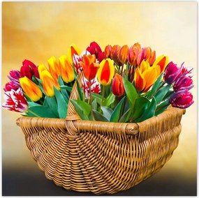 Poszterek 100x100 Tulipánok Virágok