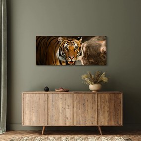 Tigris képe (120x50 cm)