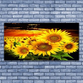 Akril üveg kép Napraforgó virág növény 125x50 cm
