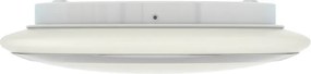 RENDL AREA 35 2D opálüveg/króm 230V GR10q 28W IP44