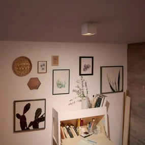 Philips 50491/31/P0-LED Dimmelhető spotlámpa MYLIVING BOX 1xLED/4,5W/230V