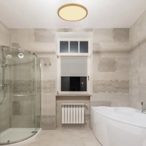 Globo 41562-18MM - LED Dimmelhető mennyezeti lámpa SAPANA LED/18W/230V IP44