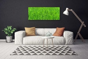 Canvas kép Nature Green Grass Turf 125x50 cm
