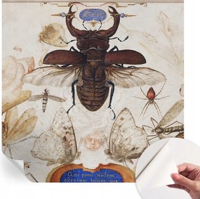 Öntapadós fotótapéta Falra 3D Loft Természetes harmónia 250x250 cm