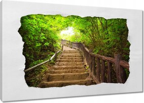 Vászonkép 60x40 Lépcsők az erdőbe