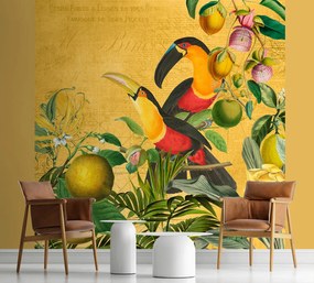 Gario Fotótapéta A papagájok a levelekben absztrakt állatokban - Andrea Haase Anyag: Vlies, Méret: 200 x 200 cm