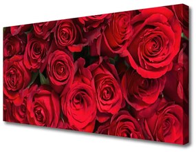 Vászonkép falra Red Roses Flowers Nature 100x50 cm