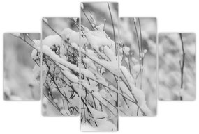 Kép - Havas ágak (150x105 cm)