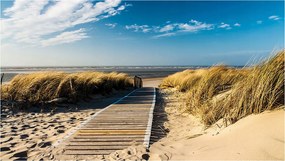 Fotótapéta Tengerpart Fa Ösvény Dűnék Pihenés 250x175 +ragasztó