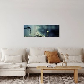 Kép - szitakötő a csillogó éjszakában (órával) (90x30 cm)