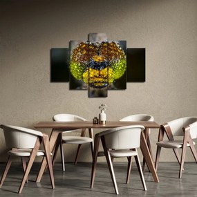 Részletes kép a rovar szemről (150x105 cm)