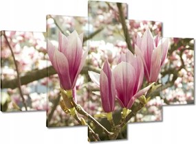 Festmények 150x105 Magnólia