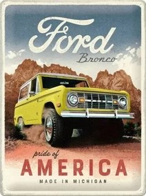 Fém tábla Ford - Bronco - Pride of America, (30 x 40 cm)