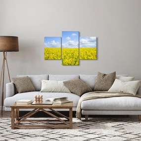 Egy sárga mező képe (90x60 cm)