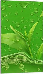 Üveg Vágódeszka 30x52 Levelek a Konyhába