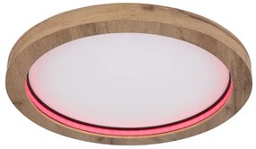 Globo 41374-24R - LED RGBW Dimmelhető mennyezeti lámpa BRANZA LED/24W/230V + távirányító