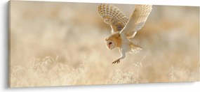 Kép - Bagoly (120x50 cm)