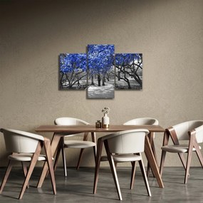 Kép - Kék fák, Central Park, New York (90x60 cm)