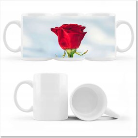 Bögre fényképpel Rózsa Virág Virágok Rózsa