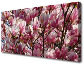 Vászonkép nyomtatás Ágak Flowers Plant 120x60 cm