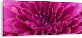 Virágos kép (120x50 cm)
