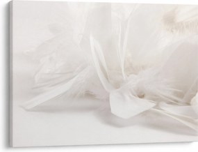 Kép - Toll (70x50 cm)