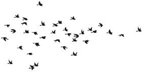 Fanastick Birds in Flight öntapadós falmatrica - Ambiance