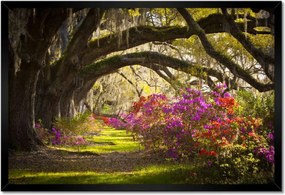 Poszterek keretben 60x40 Virágok a parkban