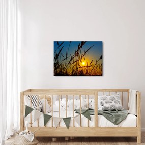 Kép - naplemente a réten (70x50 cm)