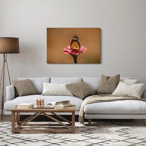 Pillangó képe a virágon (90x60 cm)