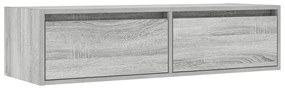 TV szekrény LED világítással szürke sonoma 100X35,5x25 cm