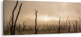Kép - Csupasz fák (120x50 cm)