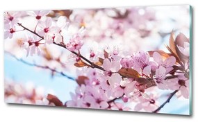 Egyedi üvegkép Cseresznye virágok osh-82072016