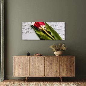 Egy vörös tulipán képe (120x50 cm)