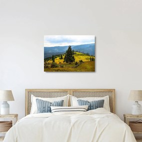 Kép - Hegyi rét (üvegen) (70x50 cm)