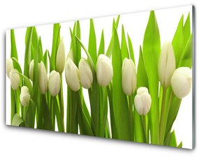 Fali üvegkép Tulipán virágok Plant 100x50 cm