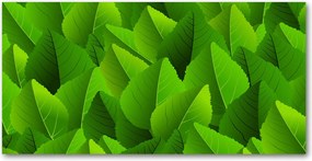 Konyhai panel Zöld levelek 140x70 cm Ragasztó