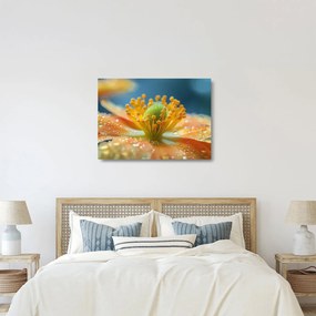 Üveg kép - Részlet a virágból (70x50 cm)