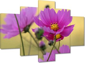 Festmények 150x105 Virágok a réten