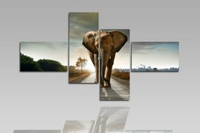 Digital Art vászonkép | 1205Q Elephant S