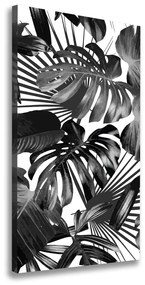 Fali vászonkép Trópusi levelek ocv-83345208
