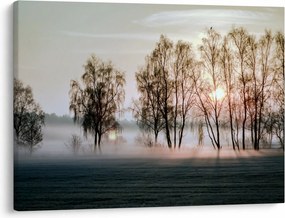 Kép - reggeli szárazság (70x50 cm)